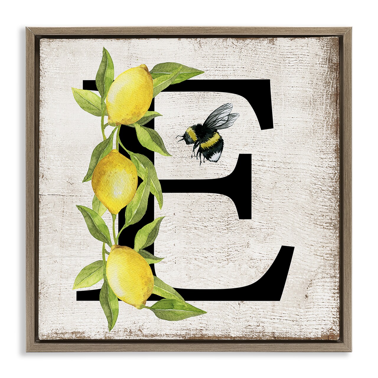 Stupell Industries Lemon & Bee E Letter Floater Framed Canvas Wall Art Design by Creatif Belle